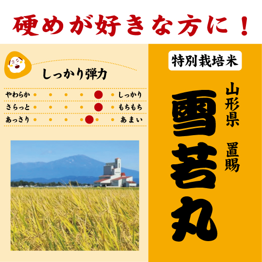 山形　雪若丸