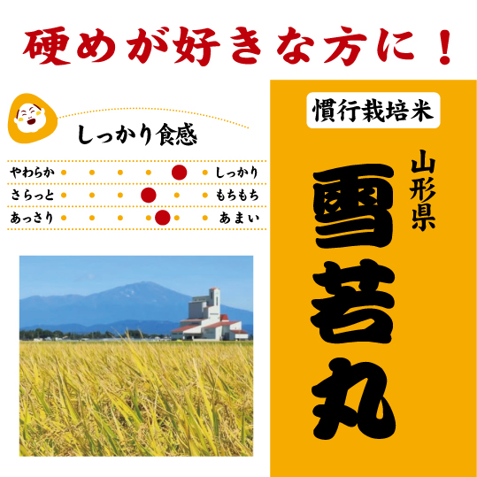 雪若丸　慣行