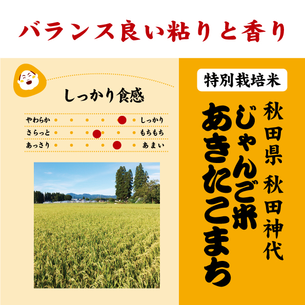 秋田じゃんご米あきたこまち