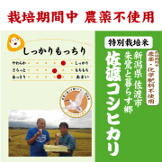 s*♡様 お米専門農家スーパープレミアム専門。富裕層様向け 新米令和6年11月2 令和6年の新米｜食べチョク｜産地直送(産直)お取り寄せ通販