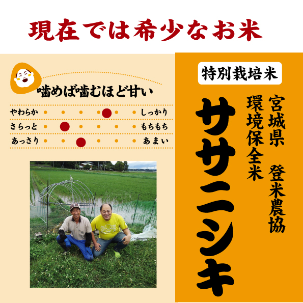 宮城ササニシキ7年産