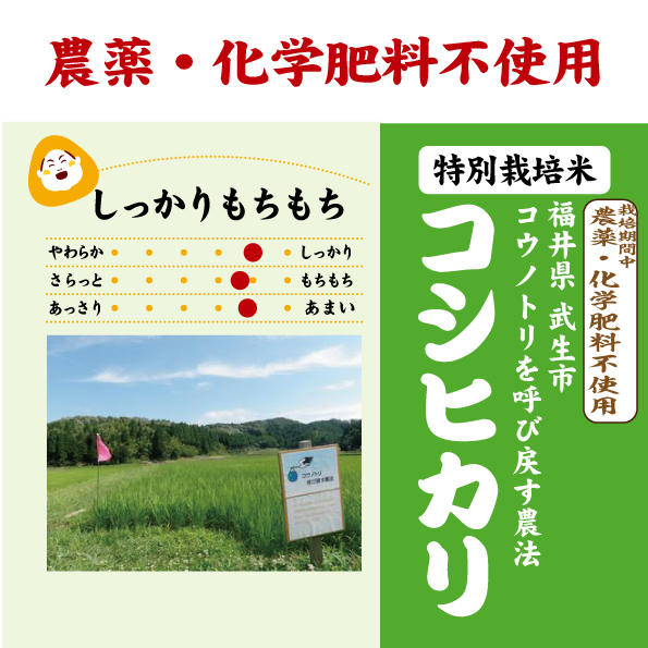 福井コウノトリ