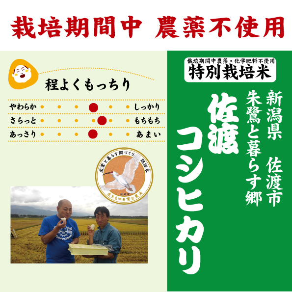 7年産　無佐渡コシ