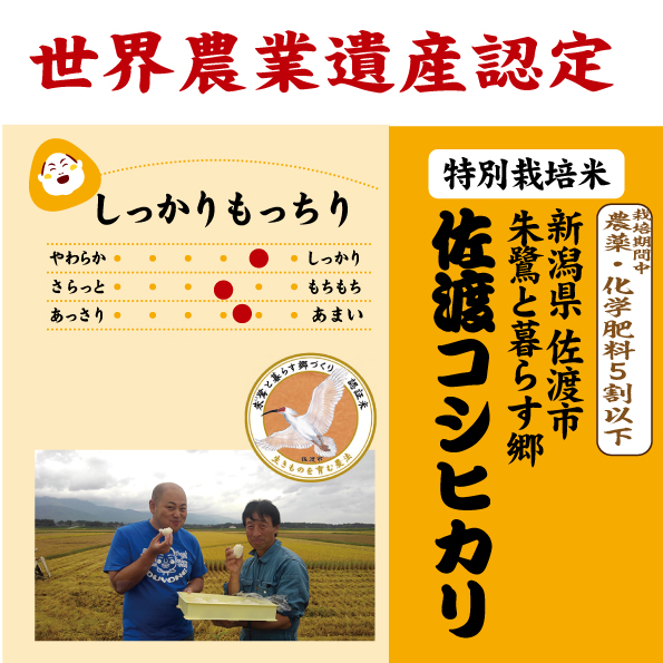 新潟　佐渡コシヒカリ