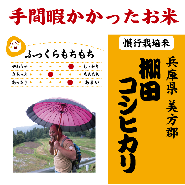 棚田コシヒカリ