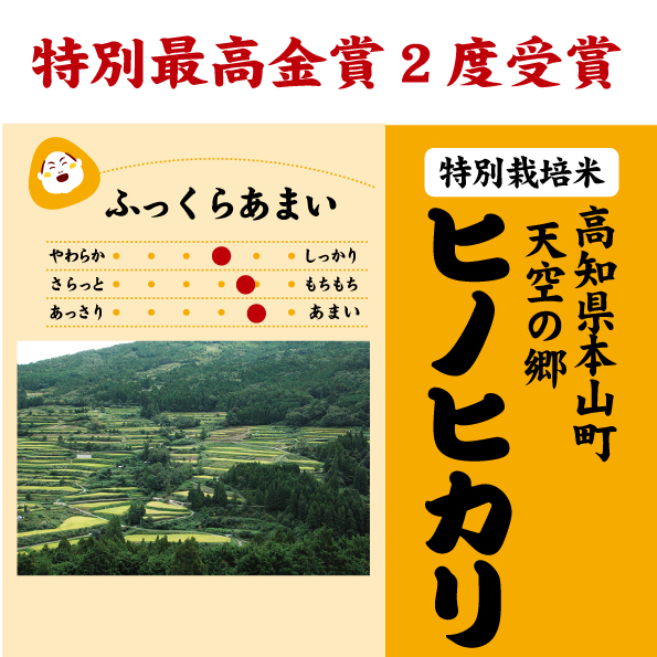 高知天空ヒノヒカリ