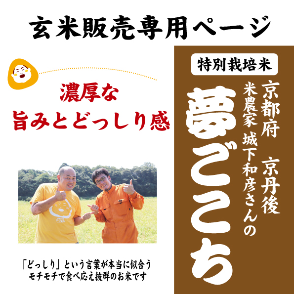 7年産　夢ごこち玄米