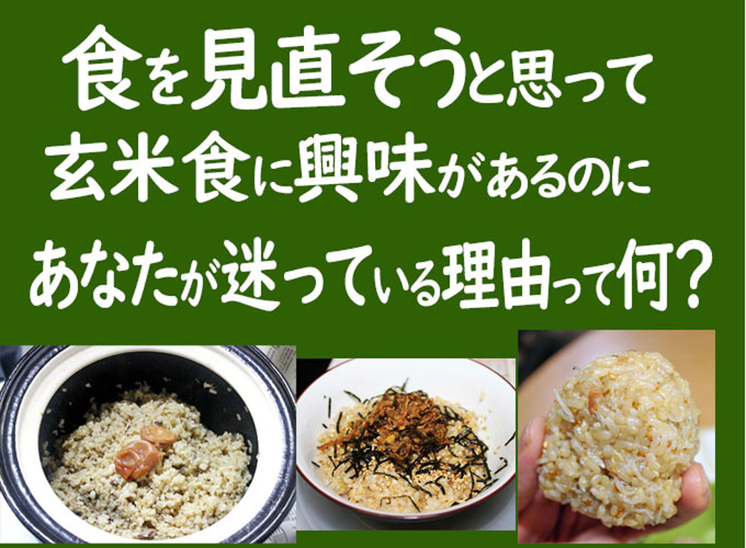 栗ちゃん様 農薬不使用 玄米 5kg 栗ちゃん様 農薬不使用 玄米 5kg 栗ちゃん様 農薬不使用 玄米 5kg
