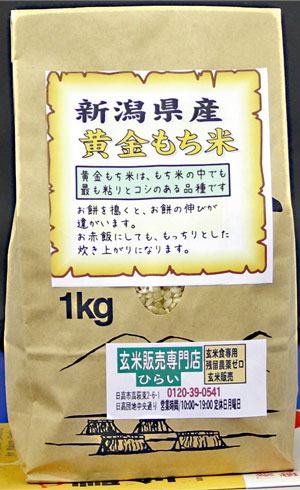 令和7年産　新潟県産 黄金もち米 玄米1kg　