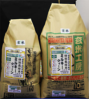 令和7年産【送料無料】残留農薬ゼロ　茨城県産ミルキークイーン玄米15kg　玄米食最適米