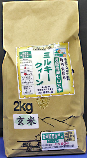 令和５年産　残留農薬ゼロ玄米　茨城県産ミルキークイーン2kg　玄米食最適米！