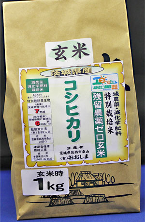 令和６年産　残留農薬ゼロ玄米　「茨城県産コシヒカリ1kg」　玄米食最適米！
