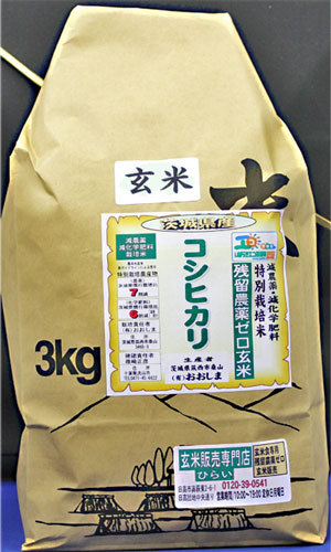 令和６年産　残留農薬ゼロ玄米　「茨城県産コシヒカリ3kg」　玄米食最適米！