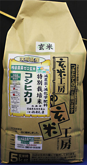令和６年産　残留農薬ゼロ玄米　「茨城県産コシヒカリ5kg」　玄米食最適米！