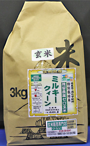 令和５年産　残留農薬ゼロ玄米　茨城県産ミルキークイーン3kg　玄米食最適米！