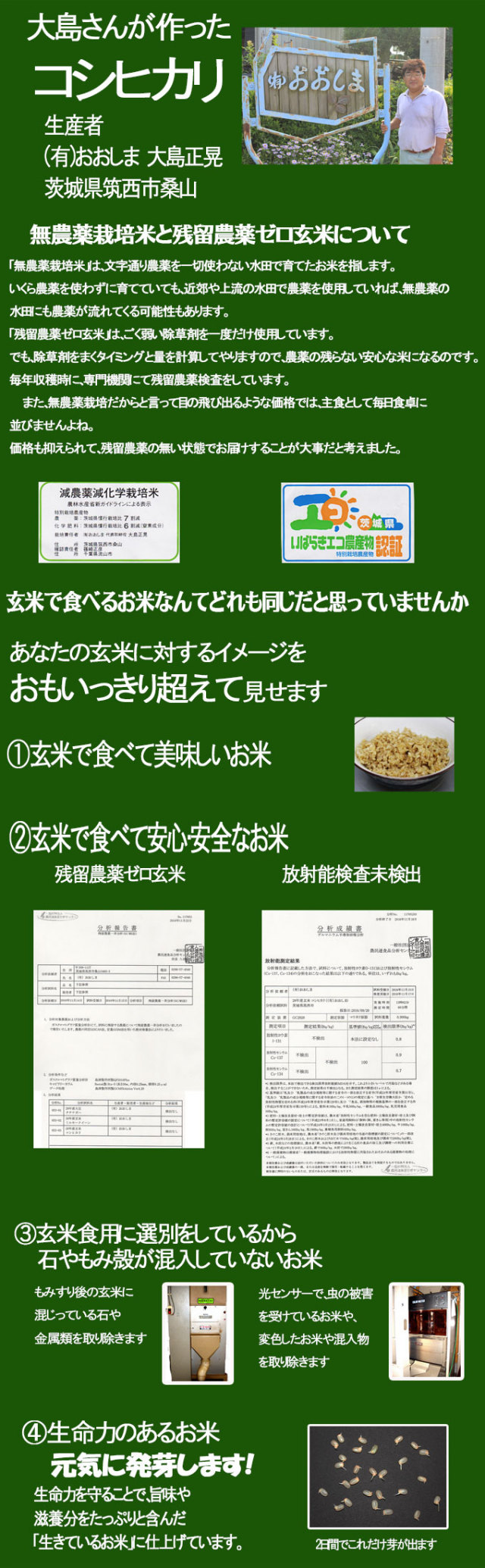 大島さんのコシヒカリ