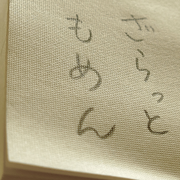 TMS-1 豆腐一丁 （もめん）