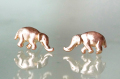 ゾウ ピアス