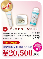 GEROVITAL ジェロビタール セット GEROVITAL ジェロビタール セット