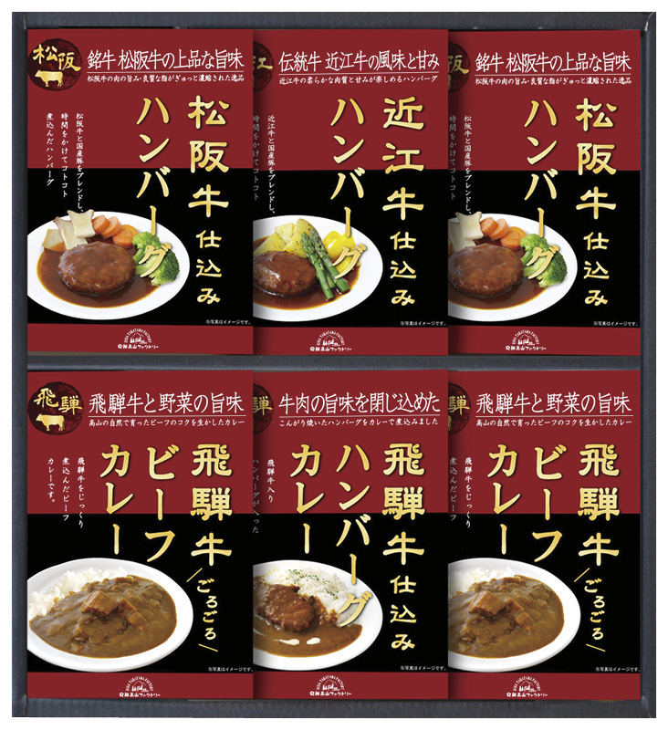 飛騨高山ファクトリー　松阪牛・近江牛・飛騨牛仕込みハンバーグ＆カレー詰合せ（HBK-40）（4580386245418）