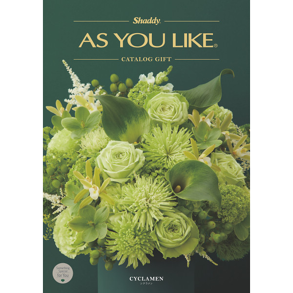 アズユーライク　シクラメン　20,800円コース