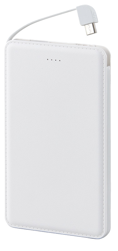 モバイルバッテリー5000mAh（iPhone・USB Type-C用アダプター付）（6189-23）