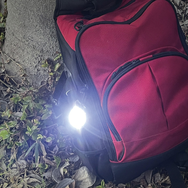 STAR★LIGHT　LEDツールライト（SL-TL450CHSL）（4562169763104）