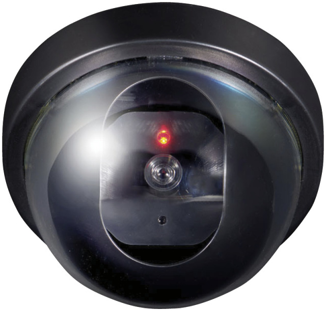 ELPA　ダミーカメラ ドーム型（DC-002）（4901087221141）