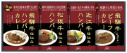 飛騨高山ファクトリー　松阪牛・近江牛・飛騨牛仕込みハンバーグ＆カレー詰合せ（HBK-28）（4580386245395）