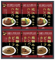 飛騨高山ファクトリー　松阪牛・近江牛・飛騨牛仕込みハンバーグ＆カレー詰合せ（HBK-40）（4580386245418）