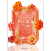 ティアラ　フェアリー　4,800円コース