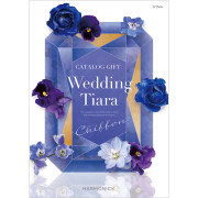 ティアラ　シフォン　5,800円コース