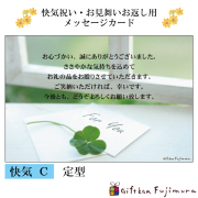 快気・御見舞返しメッセージカード【快気　Ｃ】