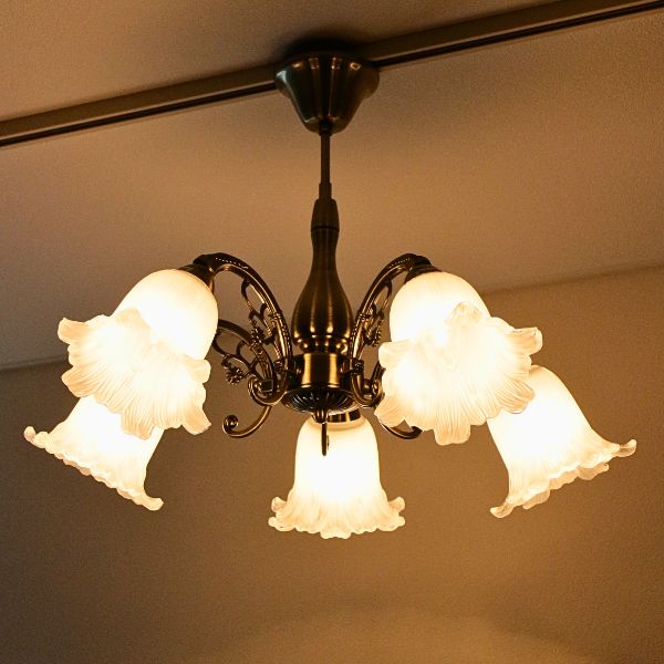 シャンデリア アイアン ガラス おしゃれ 5灯 アンティーク風 花型 花びら レトロ エレガント ロクサーヌシャンデリア 5灯 【送料無料】 [abk6677]