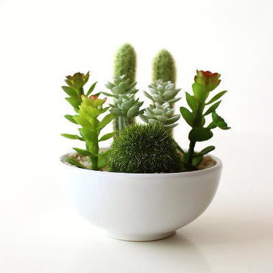 フェイクグリーン 卓上 ミニ おしゃれ 消臭 サボテン 多肉植物 CT触媒付きフェイクグリーンのミニポットB [kkm4687]