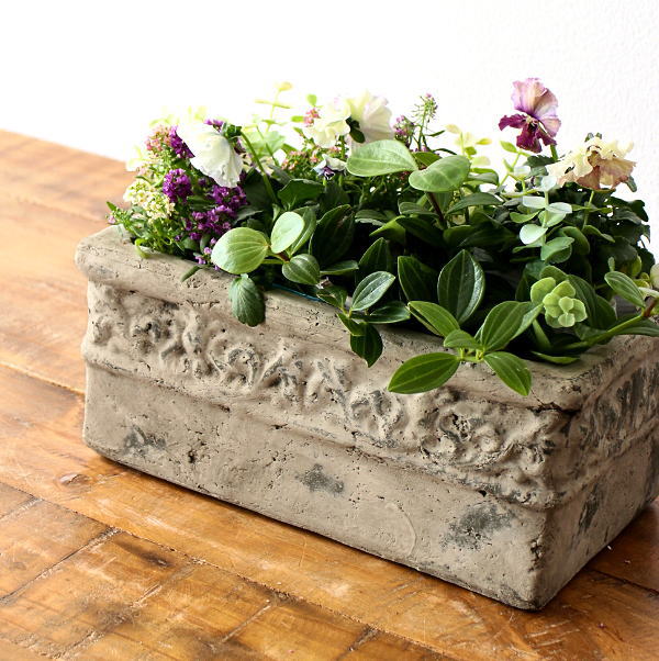 植木鉢 プランター 陶器 おしゃれ アンティーク シャビー 寄せ植え 花鉢 フラワーポット 花器 底穴あり 横長 四角 長方形 グレー ヨーロピアン レトロな陶器のプランターポット ラルゴ [cov5223]
