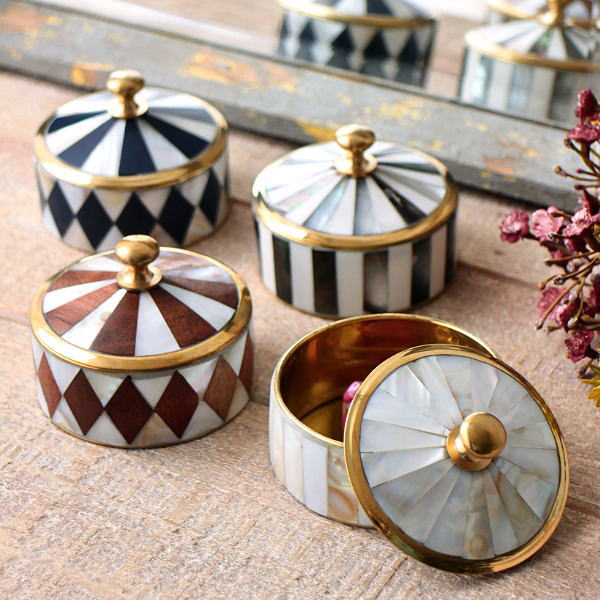 小さなシェルキャニスター 4タイプ [kan8646]