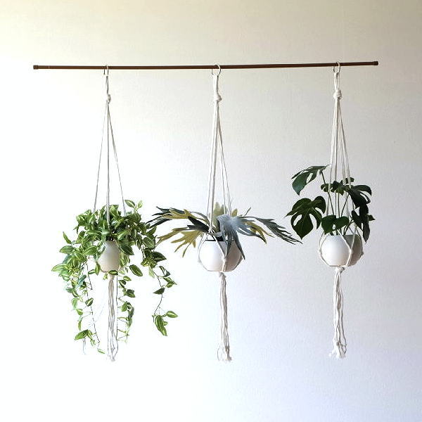 吊り下げ式　インテリアグリーン　 A kh-61101-1.jpg