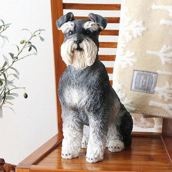 シュナウザー 犬の置物 リアル オブジェ ガーデン オーナメント 座る姿 ガーデニング 庭 玄関 リビング インテリア 雑貨  シュナウザーのオブジェ 【送料無料】 [nrv5578]