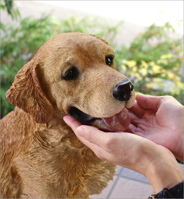 ゴールデンレトリバーのオブジェ お座り [nrv8434] | ギギliving