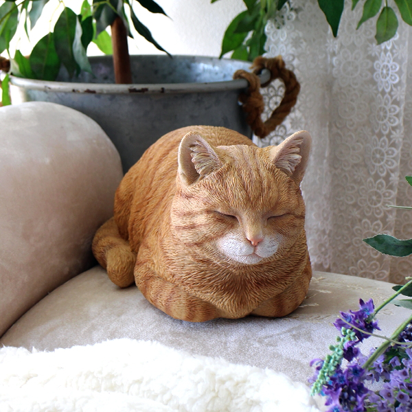 まったり茶トラの 香箱ねこ [nrv8862]
