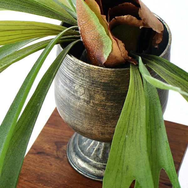 鉢カバー アイアン アンティーク風 高台 聖杯 レトロ おしゃれ 観葉植物 プランターカバー 室内 装飾 オブジェ ディスプレイ シャビーなアイアンのプレーンカップ [ysp3164]