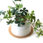 【石膏オブジェ】【観葉植物】【フェイクグリーン】【フェイクオブジェ】 フェイクグリーン CT触媒 消臭 グリーン 観葉植物 ガラス瓶 置物