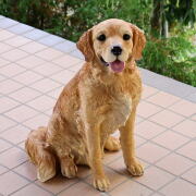 犬 置物 屋外 玄関 リアル 大型 大きい オブジェ ドッグオーナメント インテリア 樹脂 ガーデン 庭 リビング 可愛い ペット ゴールデンレトリバーのオブジェ お座り 【送料無料】 [nrv8434]