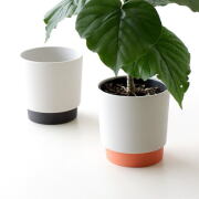 火鉢 陶器鉢 水鉢 陶器 睡蓮鉢 メダカ鉢 めだか鉢 金魚鉢 植木鉢