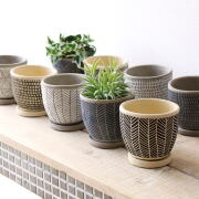 おしゃれなグリーン＆ガーデンの通販 | ギギliving