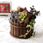 小物入れ 木製 チーク材 樽 おしゃれ 小物収納 丸型 天然木 卓上 アクセサリー 文具 鉢カバー 鍵置き レトロ アンティーク チーク 樽型小物入れ [tom2784]