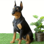 犬 置物 屋外 玄関 リアル 大型 大きい オブジェ インテリア 樹脂 ガーデン 庭 リビング 可愛い ペット Dobermann オーナメント ドーベルマン 【送料無料】 [toy9042]
