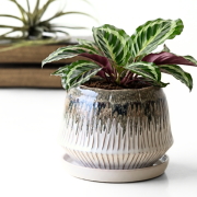 植木鉢 陶器 受け皿付き 底穴あり 3.5号 口径11cm 釉薬 ソギ模様 ダイヤ型 和モダン アンティーク ホワイト ブラウン 陶器のポット＆ソーサー FRUSTUM [yrd7004]