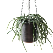 ハンギングプランター 鉢カバー 吊り下げ プランターハンガー アイアン 5号鉢 チェーン付き 吊るす 観葉植物 グリーン アンティーク ハンギングポット メタル S [ysp6409]